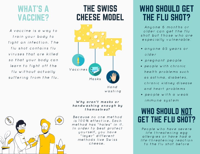 Flu Vaccine Brochure, page 2 of 2