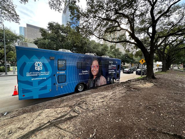 City Medical Center health camp at Sam Houston Park, photo 8